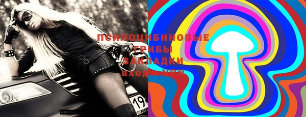 эйфоретик Белокуриха